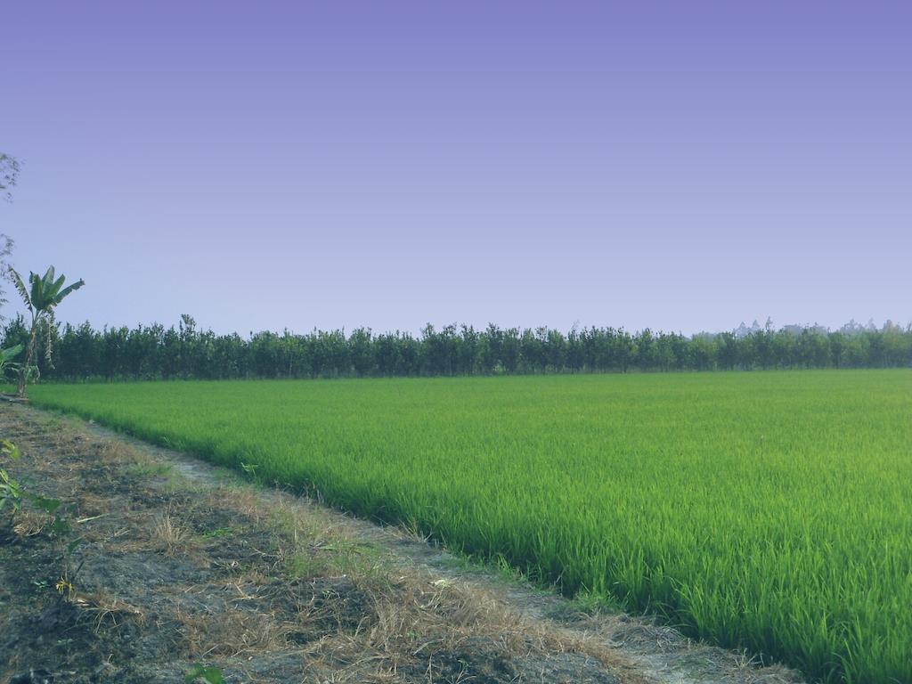 Green Village 1 Кан То Екстериор снимка