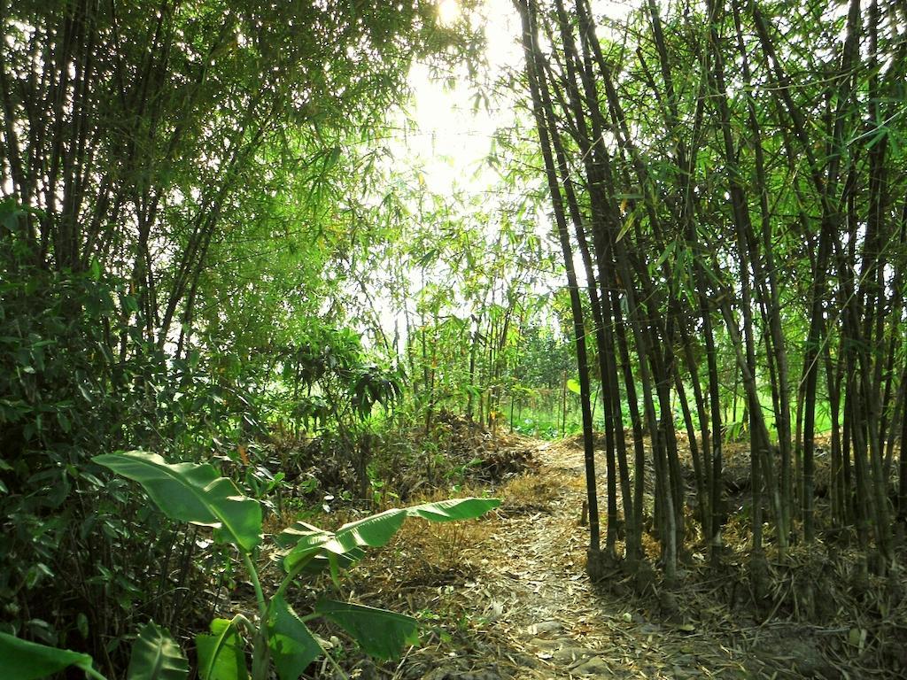 Green Village 1 Кан То Екстериор снимка